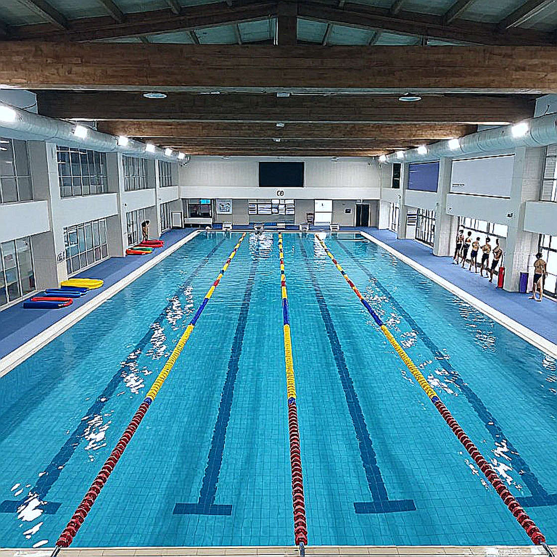 Sharks Swim Club và bài toán 250 VĐV: Vì sao một CLB 350+ vận động viên chỉ xếp hạng 155 nước Mỹ? Sharks Swim Club và bài toán 250 VĐV: Vì sao một CLB 350+ vận động viên chỉ xếp hạng 155 nước Mỹ?