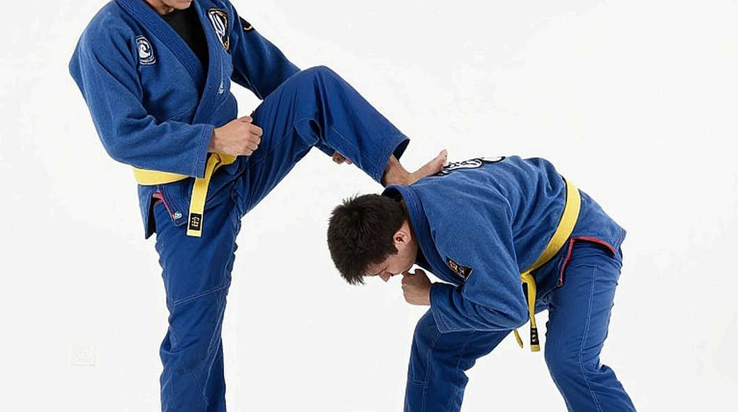 Khi võ thuật Việt Nam lên tiếng: Từ bãi tập phủ bụi đến sàn đấu quốc tế