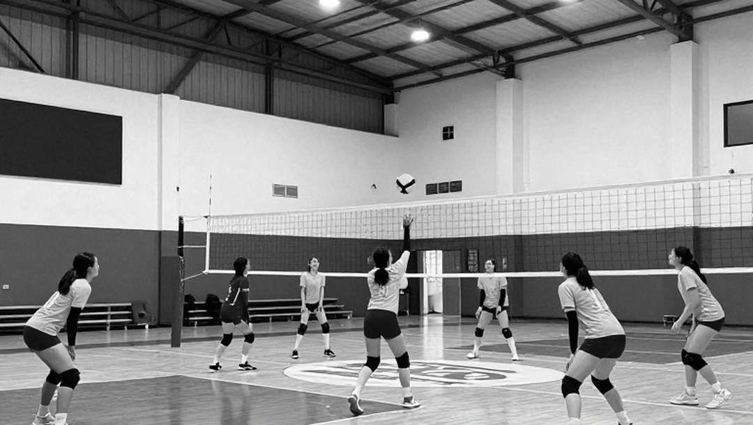 Trang Thống Kê Trắng Và Kỷ Luật Im Lặng Của Người Phân Tích Bóng Chuyền