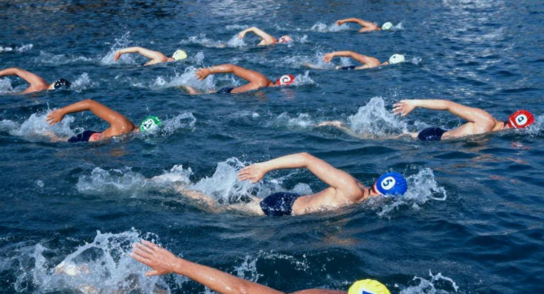 Tactical Analysis in Swimming: Lack of Technical Data in Events Tactical Analysis in Swimming: Lack of Technical Data in Events