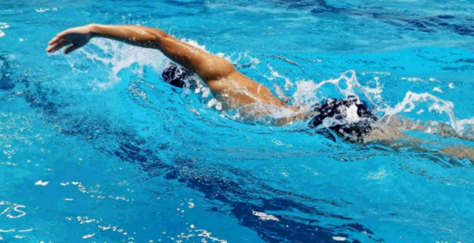 Sharks Swim Club tuyển Giám đốc Phát triển: Chiến lược chuyển hóa 250 vận động viên trẻ thành sức mạnh quốc gia