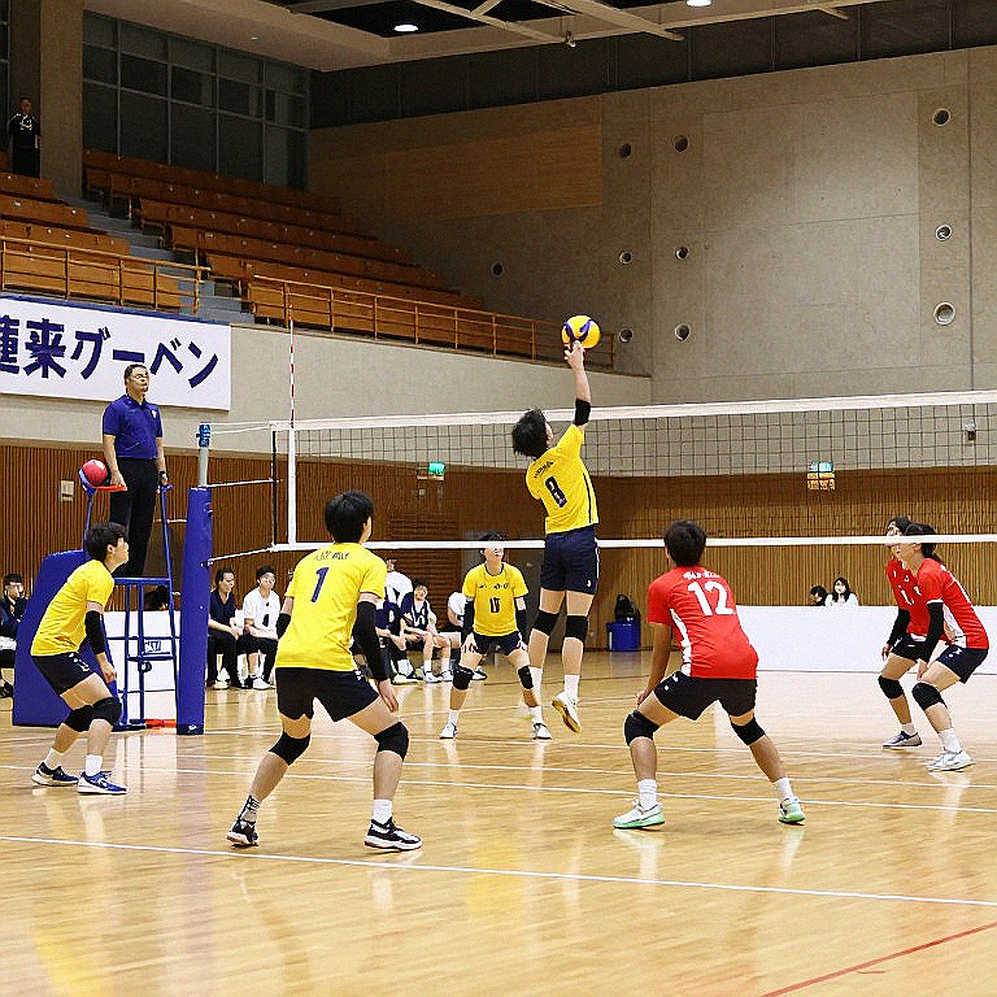 Ba Lan giữ ngôi vô địch EuroVolley 2026 sau thắng Pháp 3-1: bài học về hiệu suất tập thể Ba Lan giữ ngôi vô địch EuroVolley 2026 sau thắng Pháp 3-1: bài học về hiệu suất tập thể