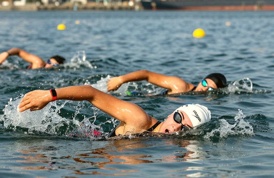 Sharks Swim Club: The 350-Athlete Empire and the Conversion Bottleneck - The Director of Development Equation